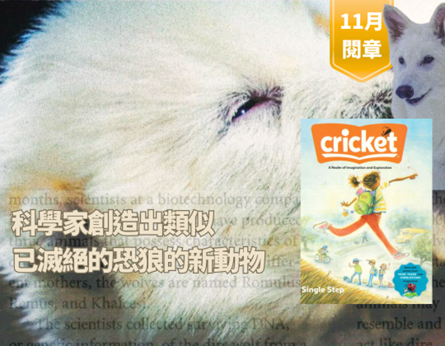 科學家創造出類似已滅絕的恐狼的新動物